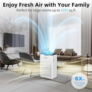 Advanced H13 HEPA Air Filter for Wildfires